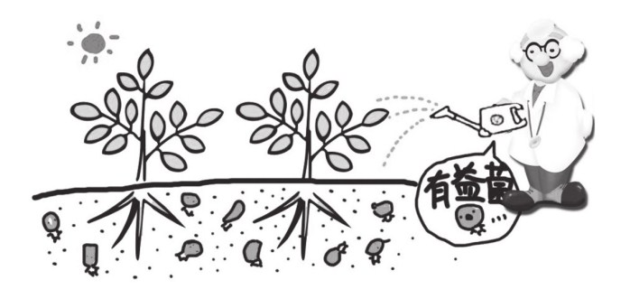 施用生物菌肥注意事項效果才好